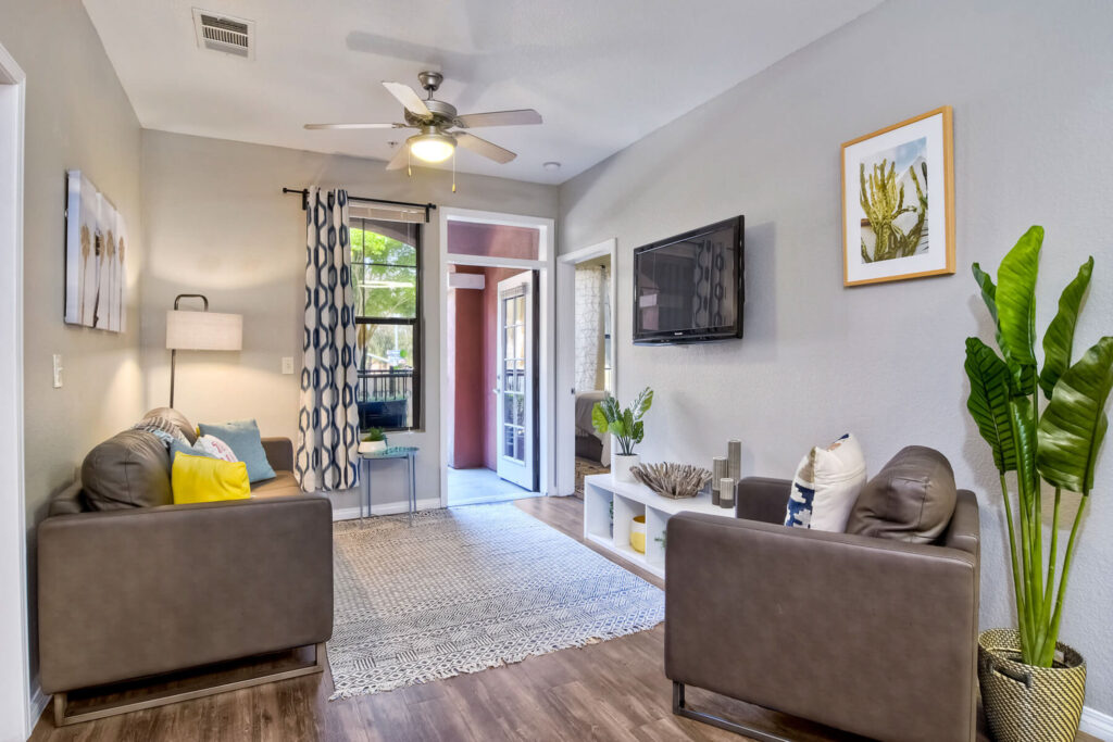 Apartment living room and entryway