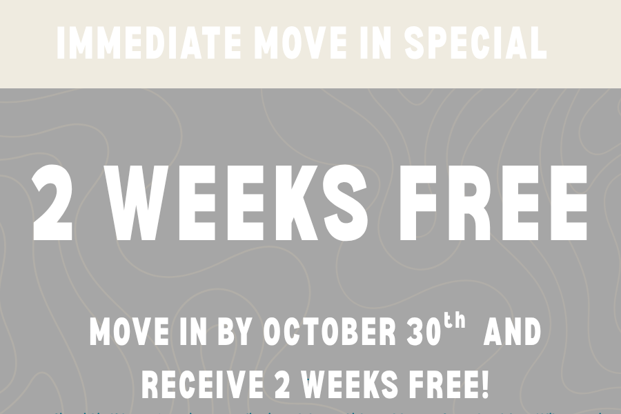 2 Weeks Free special
